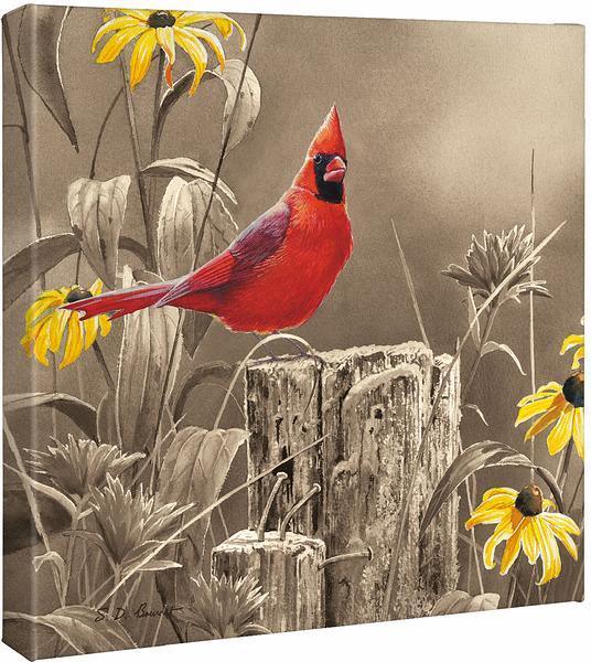 Greeting the New Day—Cardinal Gallery Wrapped Canvas - Wild Wings