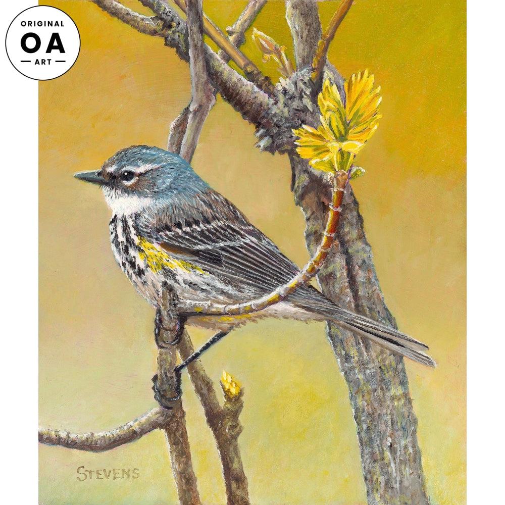 Harbinger of Spring—Yellow Rumped Warbler Original Oil Painting - Wild Wings