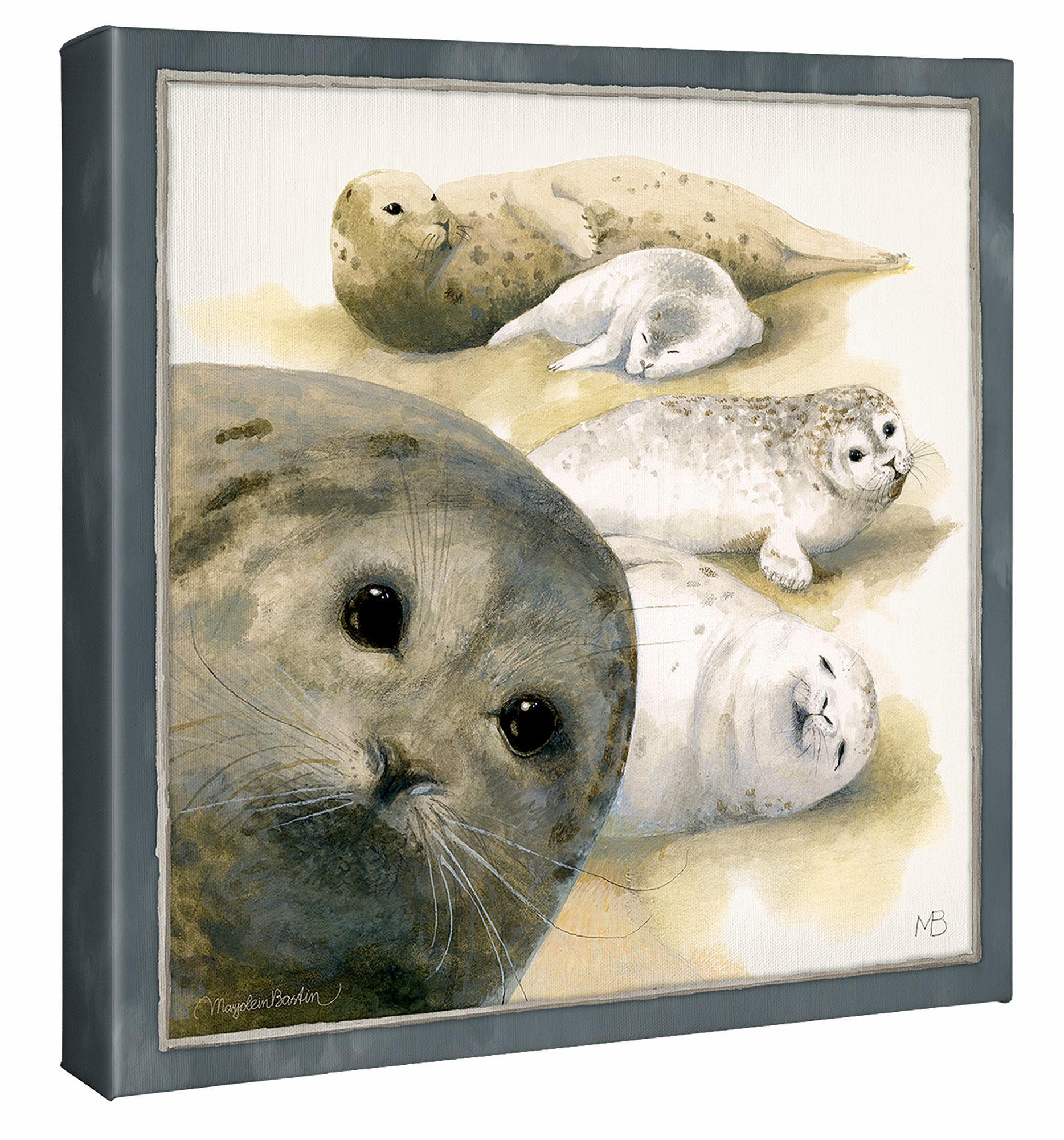 Harbor Seals at Sea Ranch Gallery Wrapped Canvas - Wild Wings