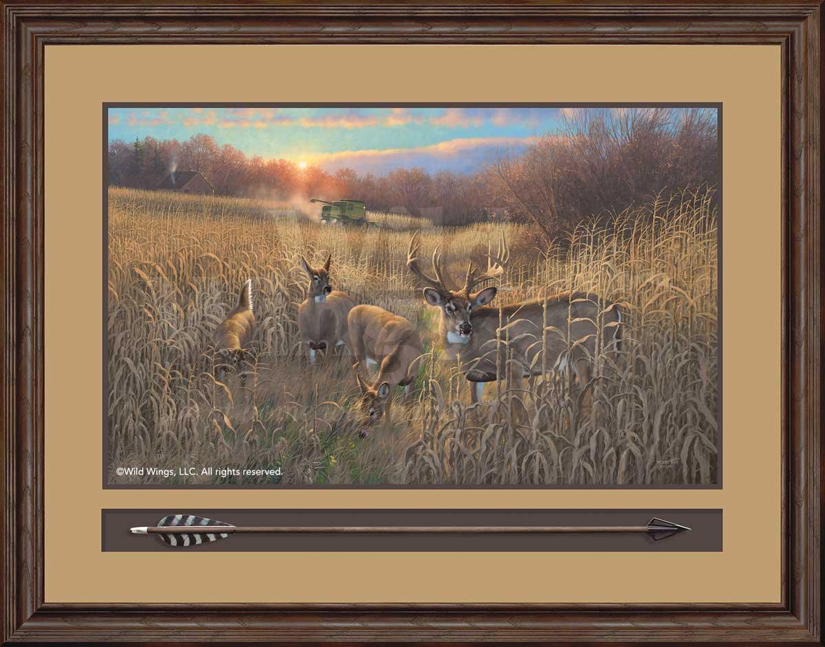Harvest Time—Whitetail Deer Art Collection - Wild Wings