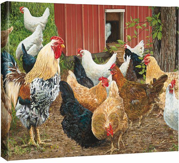 Hen-Pecked—Chickens Gallery Wrapped Canvas - Wild Wings