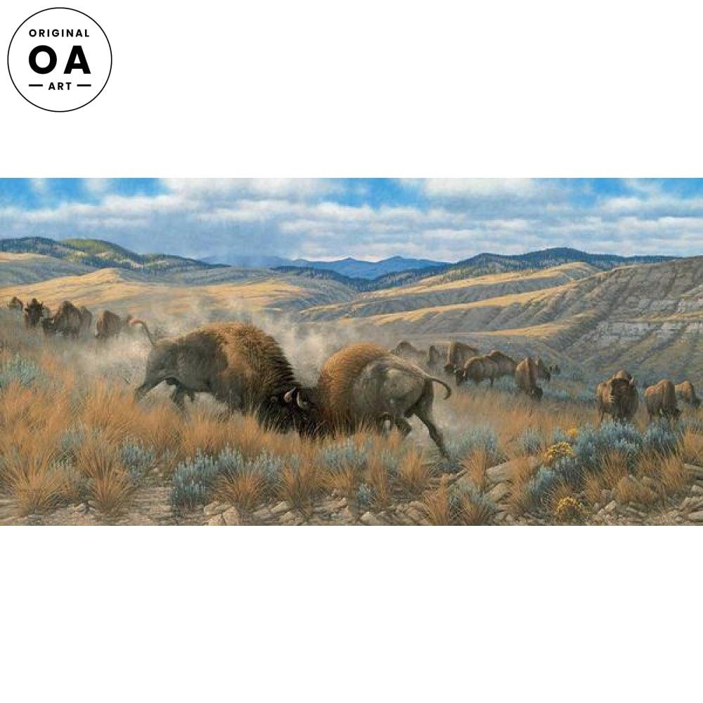 High Plains Battle—Bison Original Oil Painting - Wild Wings