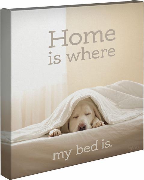 Home Is Where My Bed Is Gallery Wrapped Canvas - Wild Wings