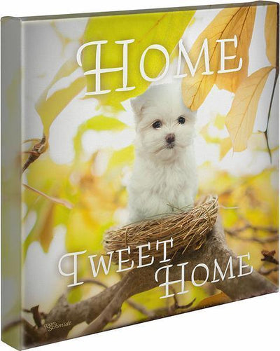 Home Tweet Home Gallery Wrapped Canvas - Wild Wings