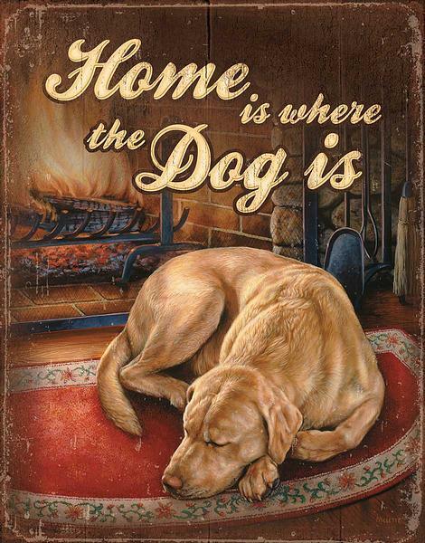 Home is Where the Dog Is Tin Sign - Wild Wings