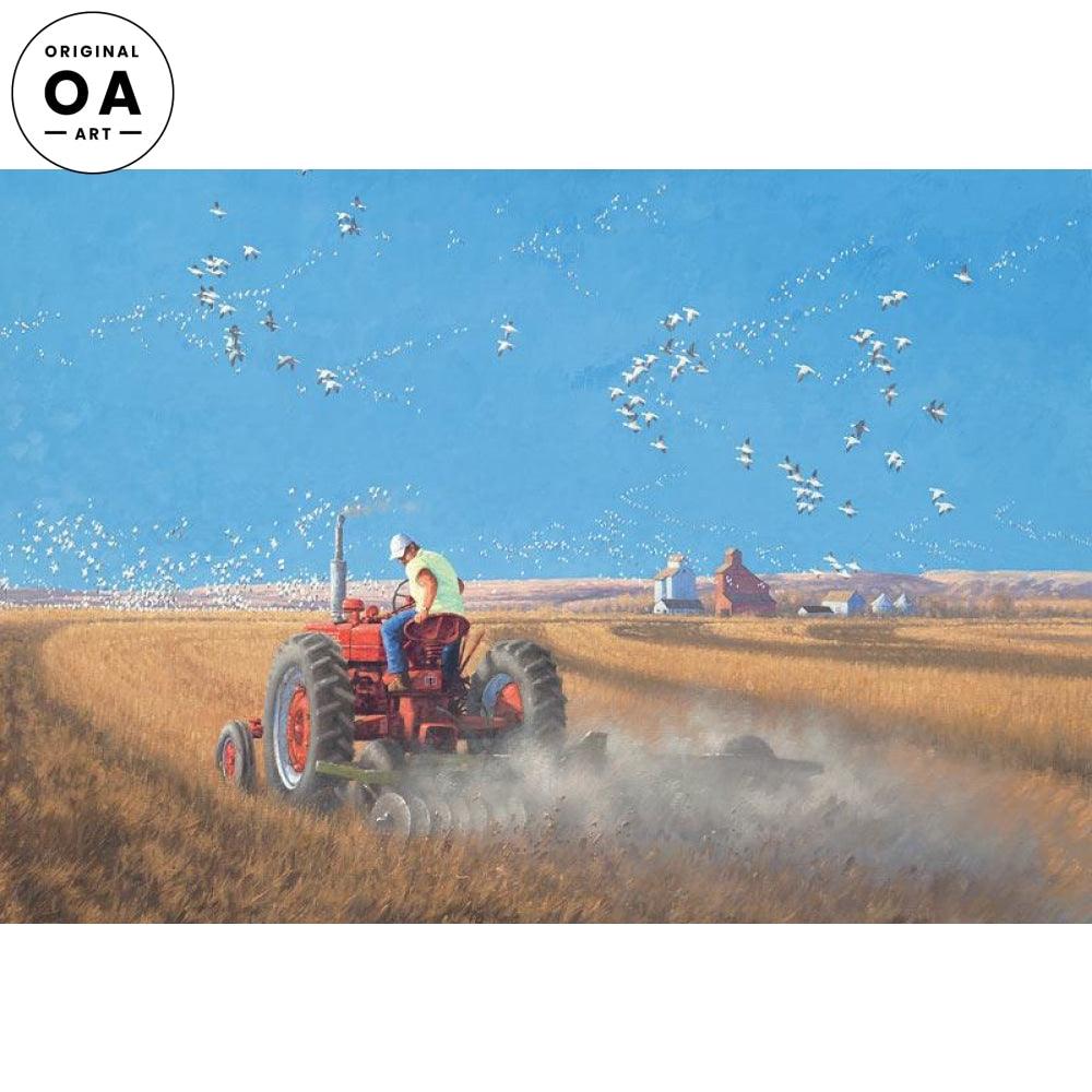 In the Field—Snow Geese Original Oil Painting - Wild Wings