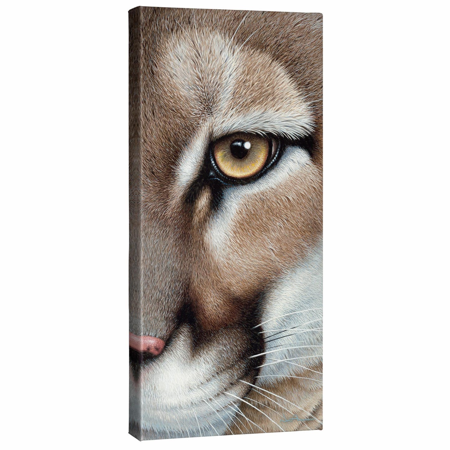Intense-Mountain Lion Gallery Wrapped Canvas - Wild Wings