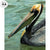 Jurassic Memory—Brown Pelican Original Oil Painting - Wild Wings