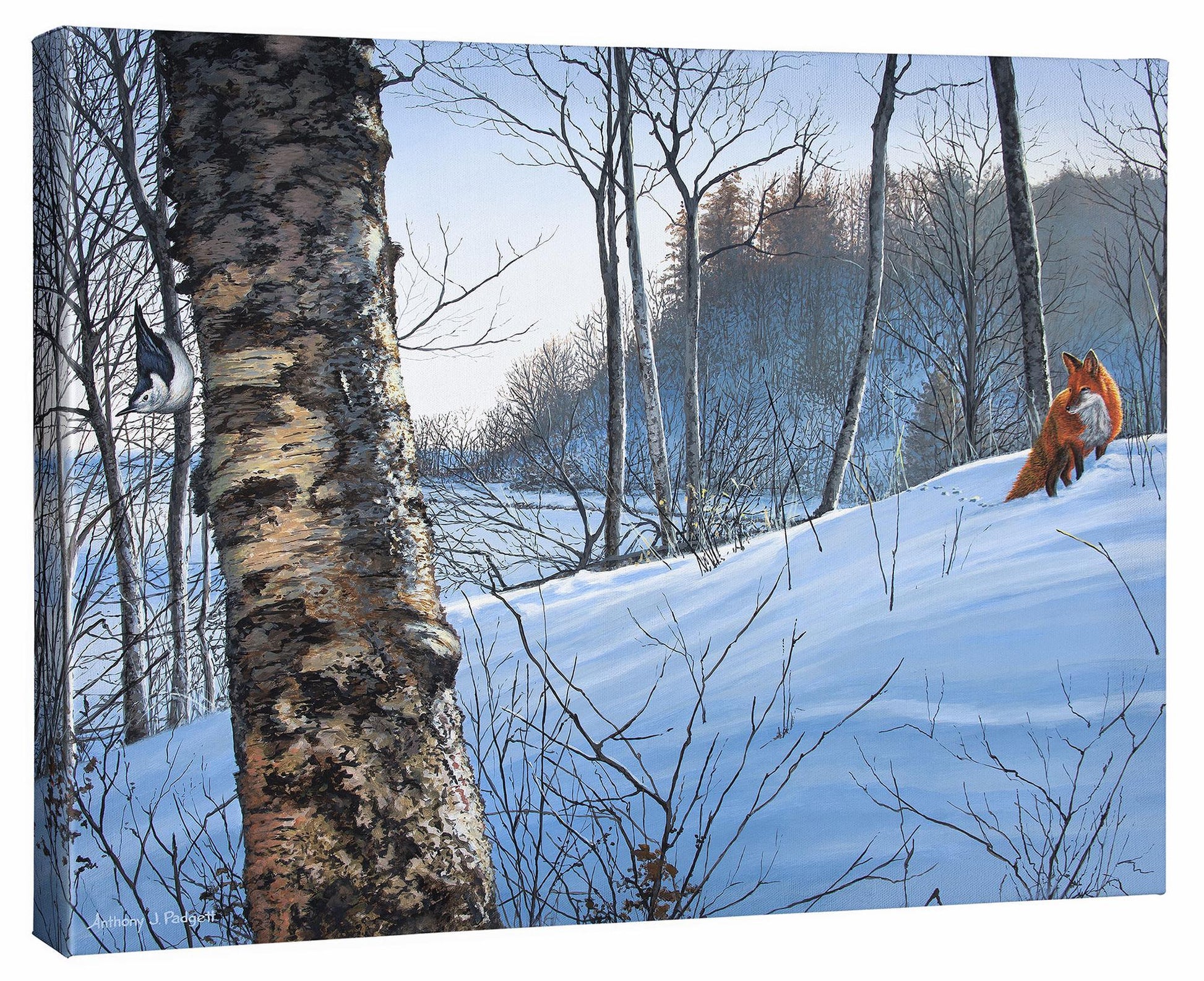 Just Out of View—Fox & Nuthatch Gallery Wrapped Canvas - Wild Wings