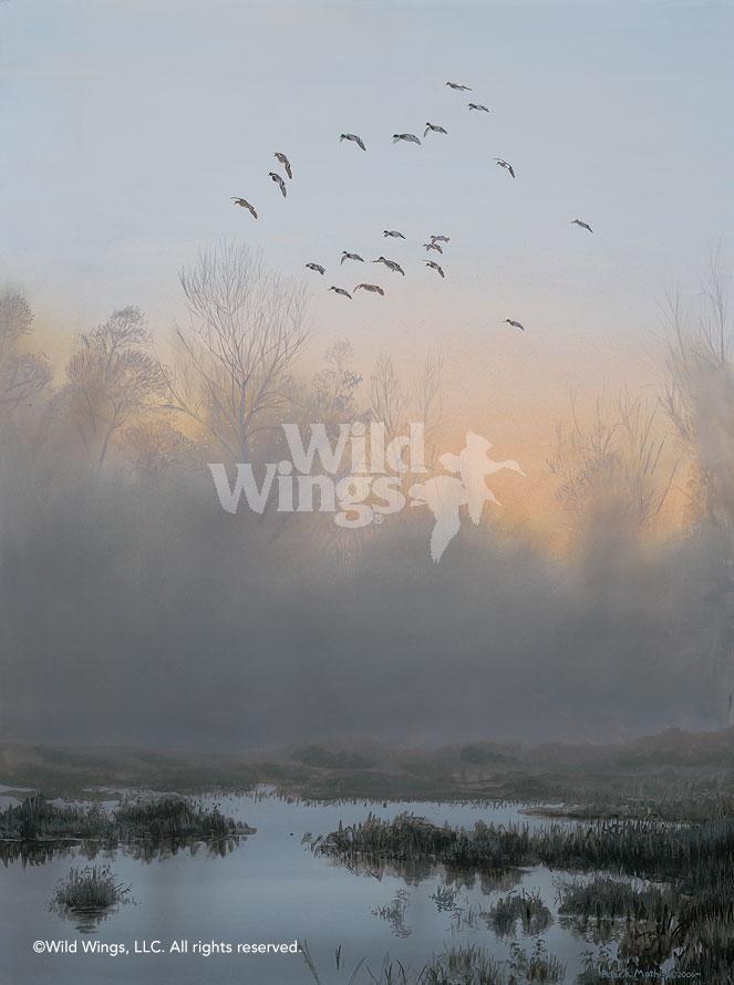 First Flight—Mallards Art Collection - Wild Wings