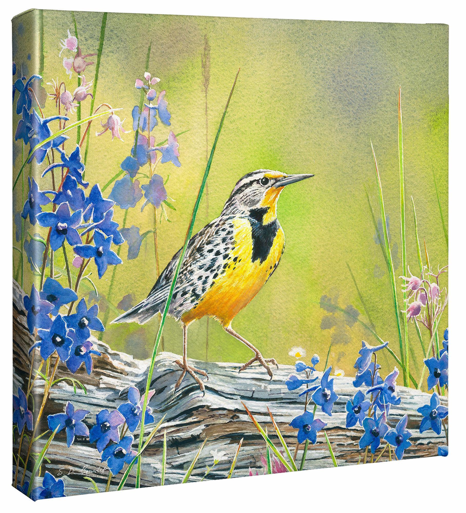 Lark & Larkspur Gallery Wrapped Canvas - Wild Wings