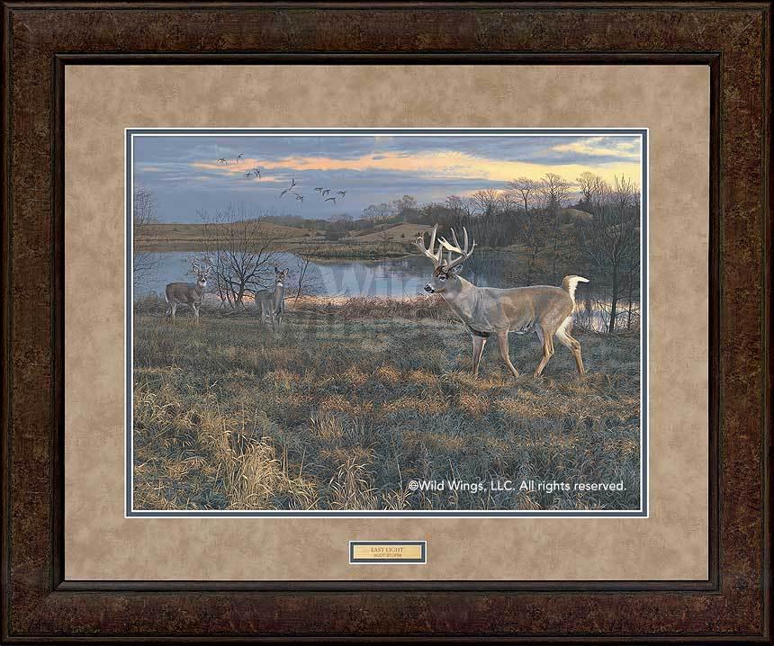 Last Light—Whitetail Deer GNA Premium+ Framed Print - Wild Wings