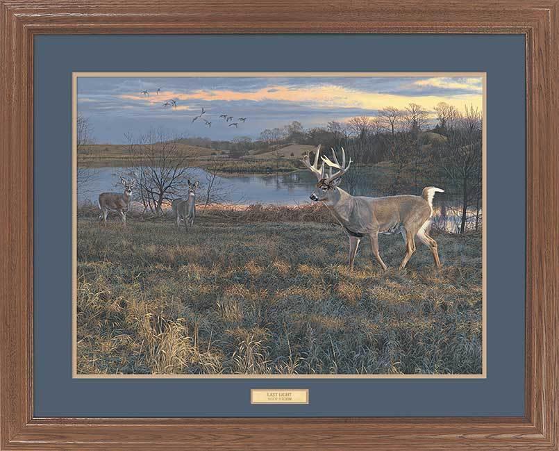 Last Light—Whitetail Deer GNA Premium Framed Print - Wild Wings