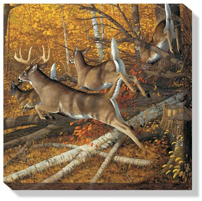 Maple Rush—Whitetail Deer Art Collection - Wild Wings