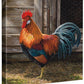 Leghorn—Light Brown Rooster Gallery Wrapped Canvas - Wild Wings