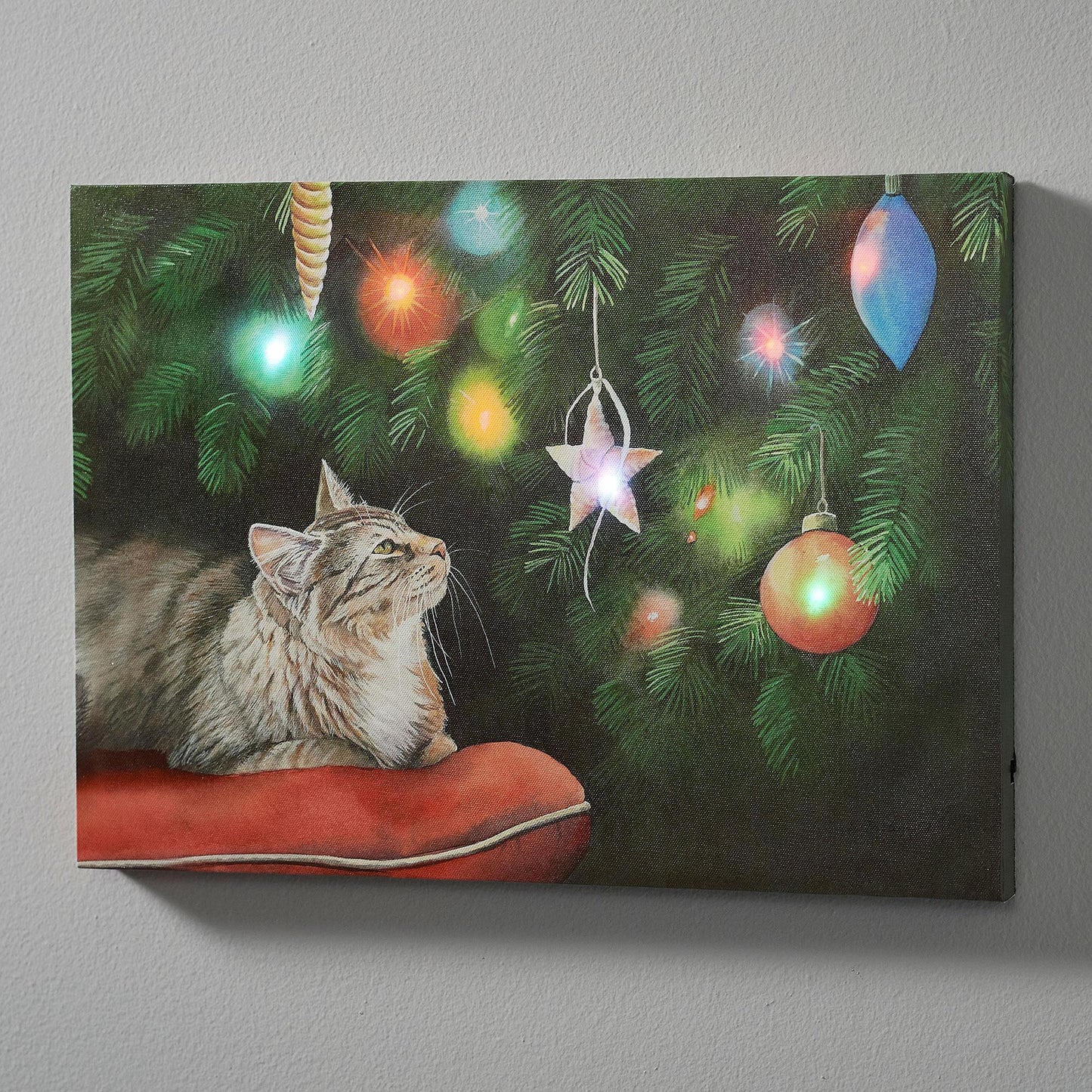 Holiday Dazzle—Cat Lighted Wrapped Canvas - Wild Wings