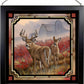 Lifting Fog - Whitetail Deer Stained Glass Art - Wild Wings