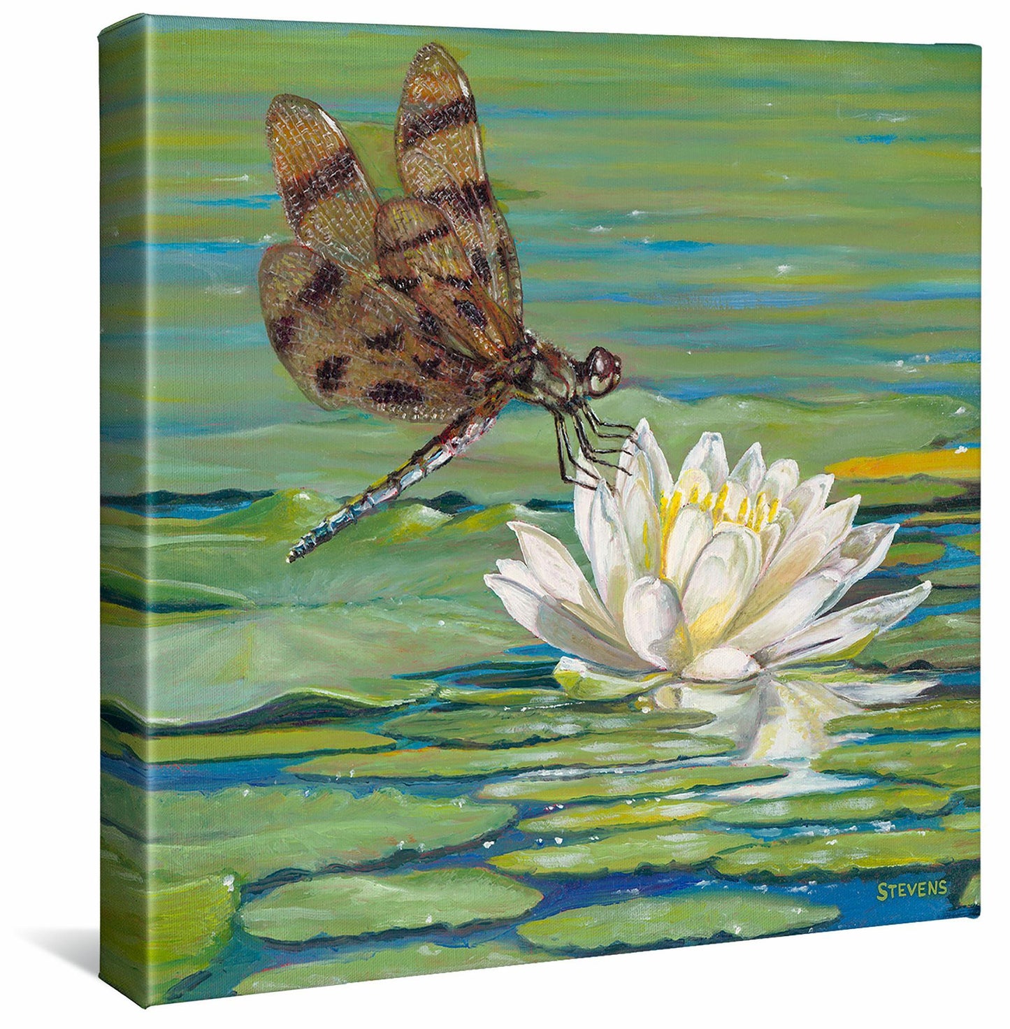 Lily and Lace—Dragonfly Gallery Wrapped Canvas - Wild Wings