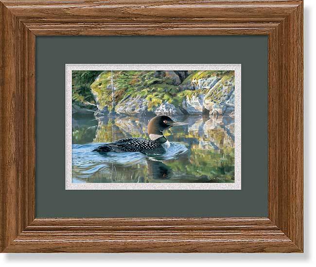 Against the Rocks—Loon Art Collection - Wild Wings