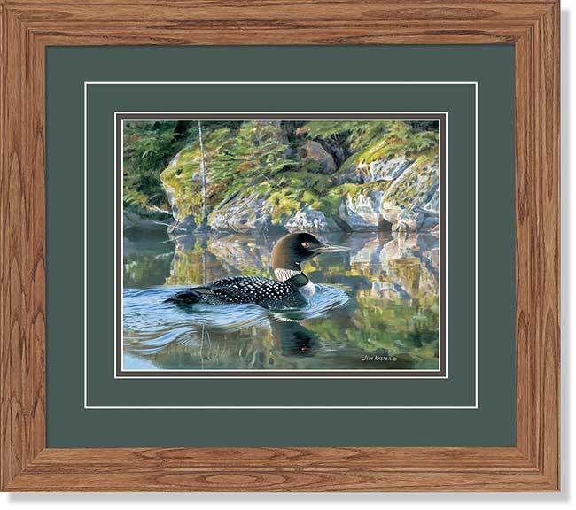Against the Rocks—Loon Art Collection - Wild Wings