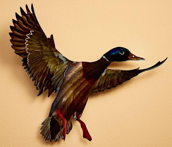 Landing Drake Mallard Metal Wall Art - Wild Wings
