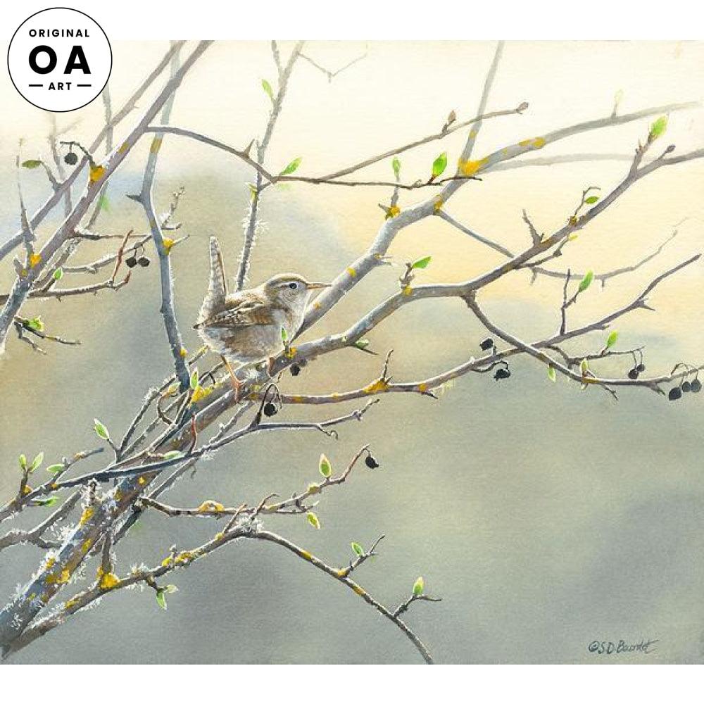 Marsh Wren—Morning Mist Original Watercolor Painting - Wild Wings