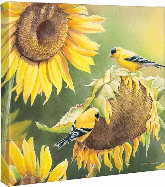 Midas Touch—Goldfinches Gallery Wrapped Canvas - Wild Wings