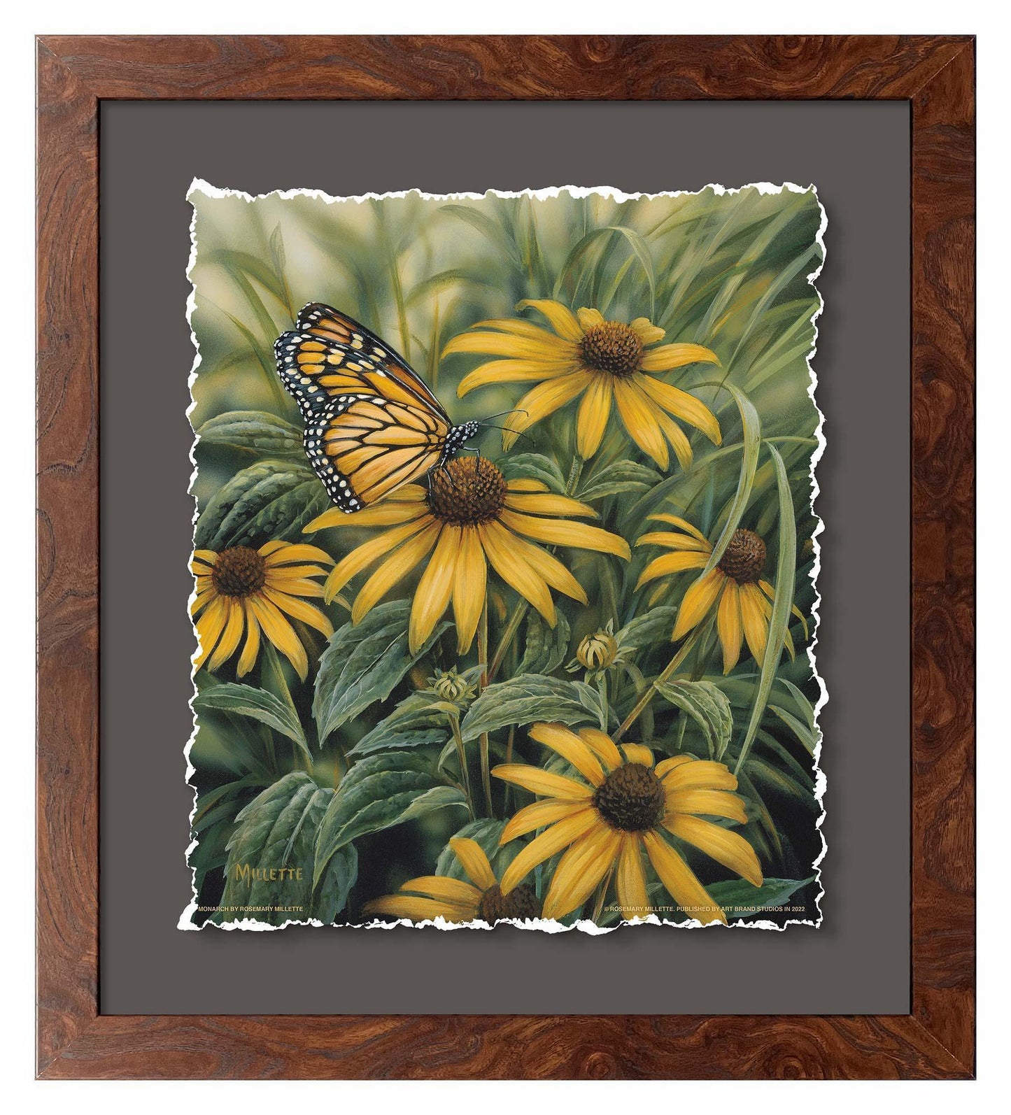 Monarch Butterfly Deckled Edge Paper Print - Wild Wings