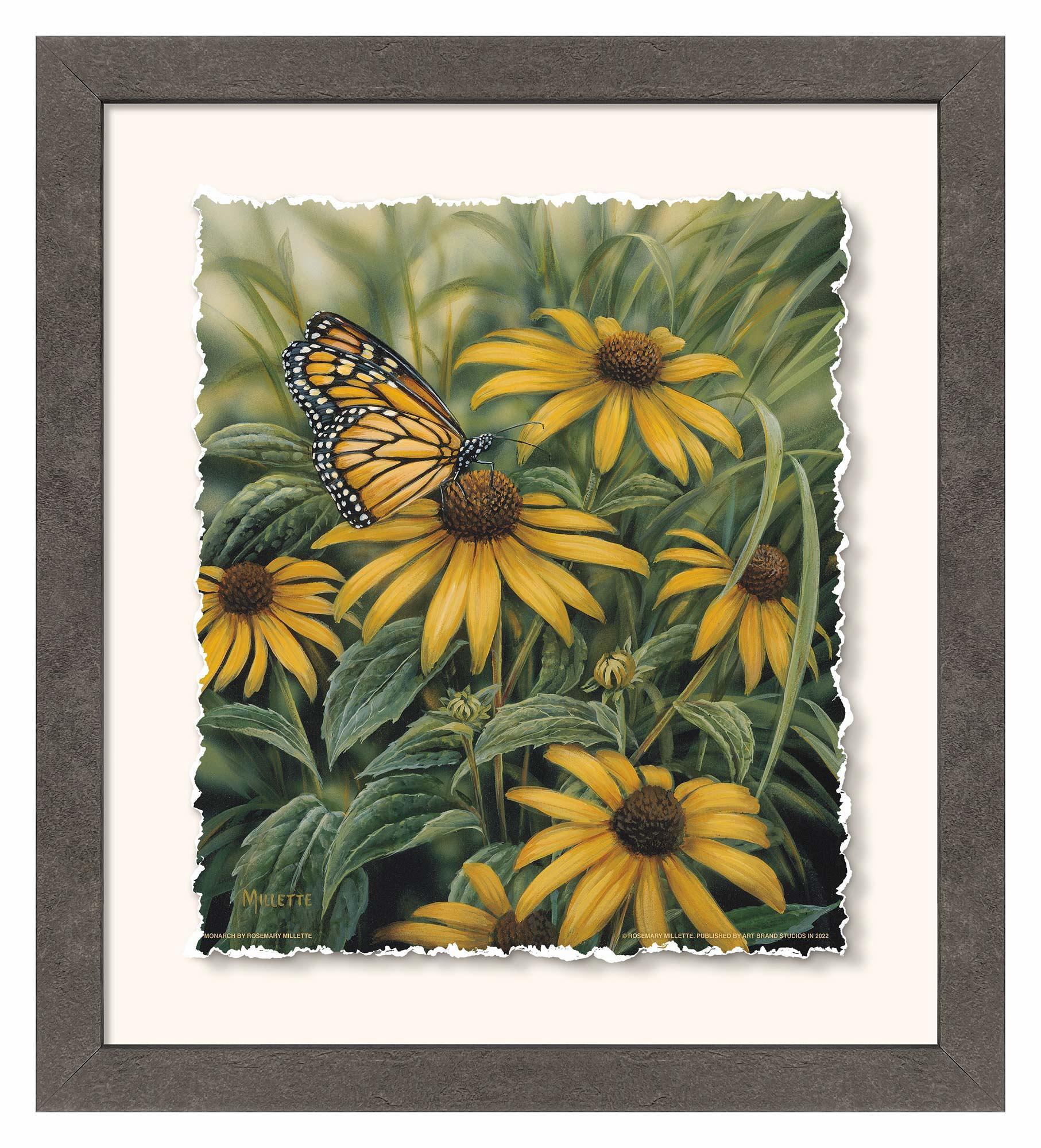 Monarch Butterfly Deckled Edge Paper Print - Wild Wings