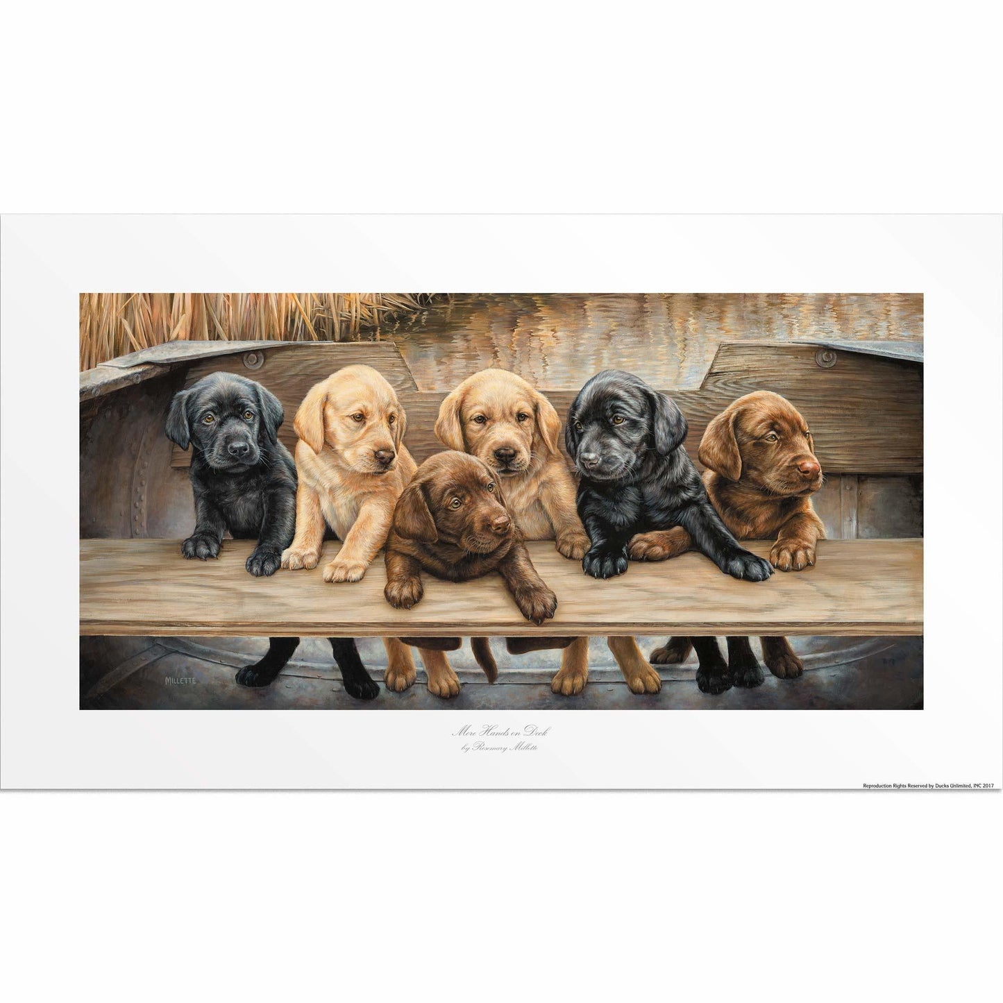 More Hands on Deck—Six Puppies Artist Proof Paper Print - Wild Wings