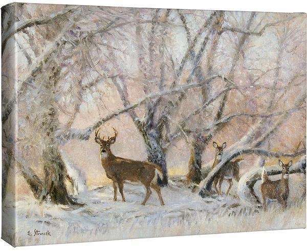 Morning Hoarfrost—Whitetail Deer Gallery Wrapped Canvas - Wild Wings