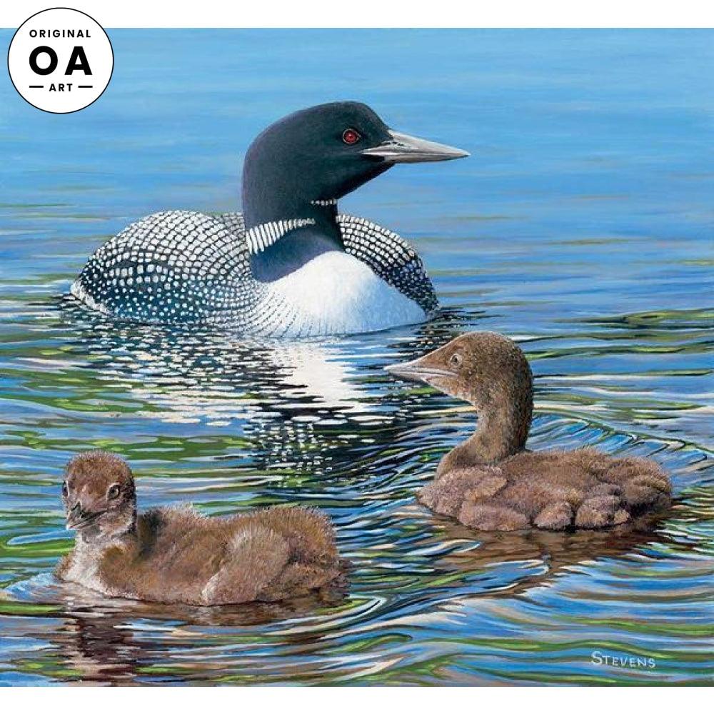 Mother Knows Best—Loons Original Oil Painting - Wild Wings
