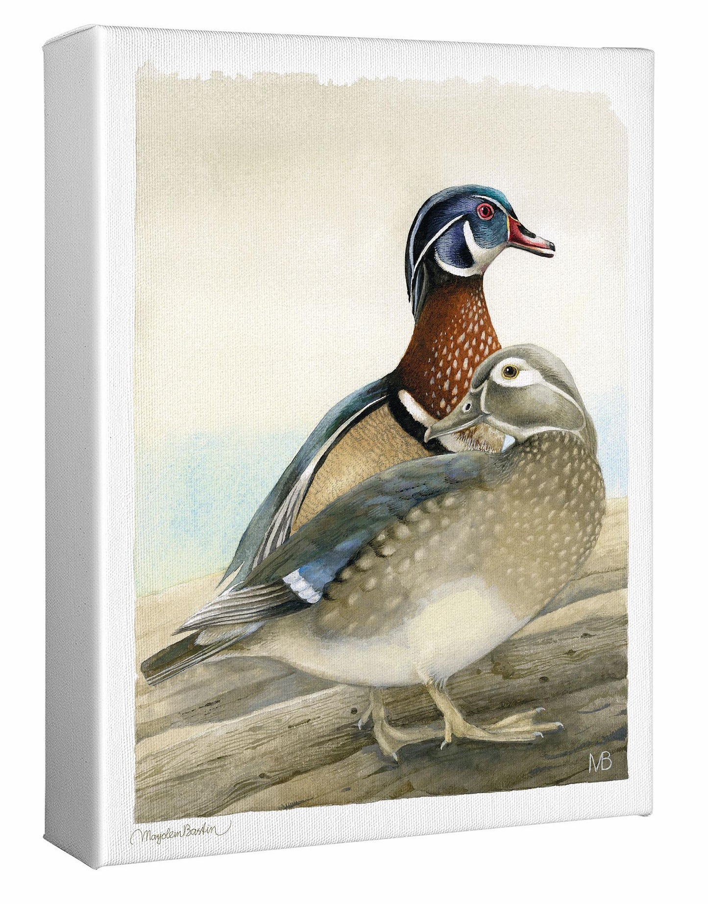 My Dear Wood Ducks Gallery Wrapped Canvas - Wild Wings