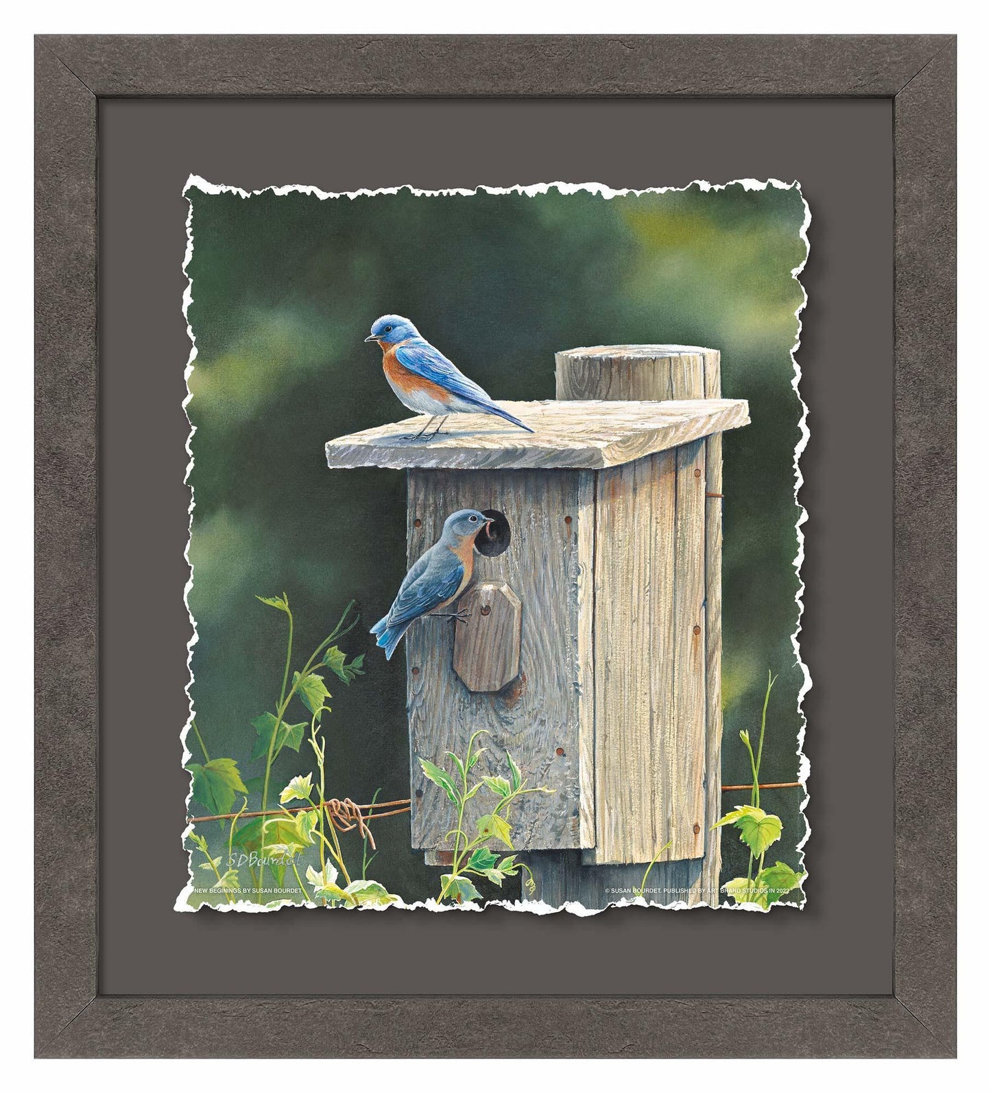 New Beginnings—Bluebirds Deckled Edge Paper Print - Wild Wings