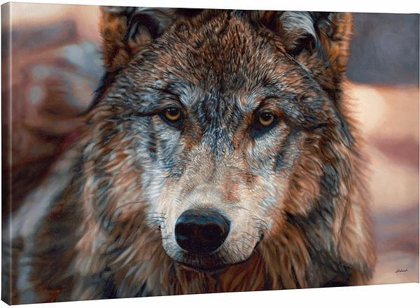 Northern Gaze—Wolf Gallery Wrapped Canvas - Wild Wings