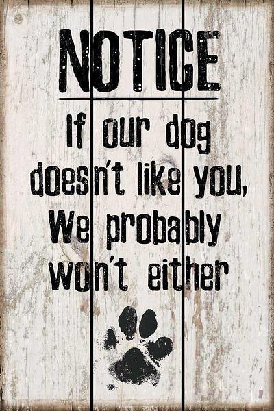 Dog Doesn't Like You 12" x 18" Saw-Cut Wood Sign - Wild Wings