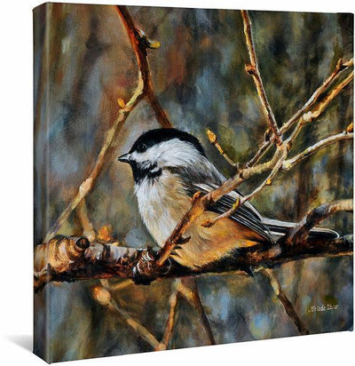 November Curtain—Chickadee Gallery Wrapped Canvas - Wild Wings