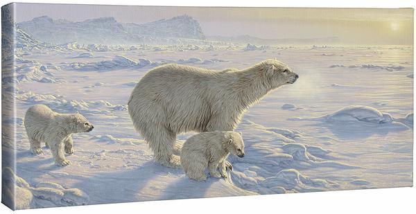 On the Edge—Polar Bears Gallery Wrapped Canvas - Wild Wings