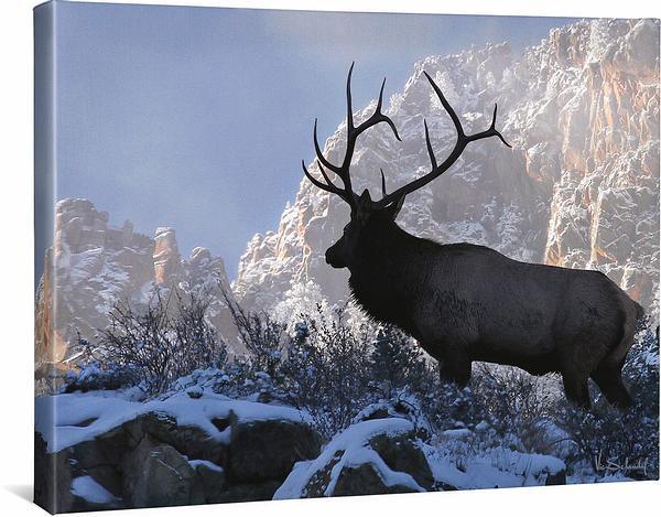 On Top of the World—Bull Elk Gallery Wrapped Canvas - Wild Wings
