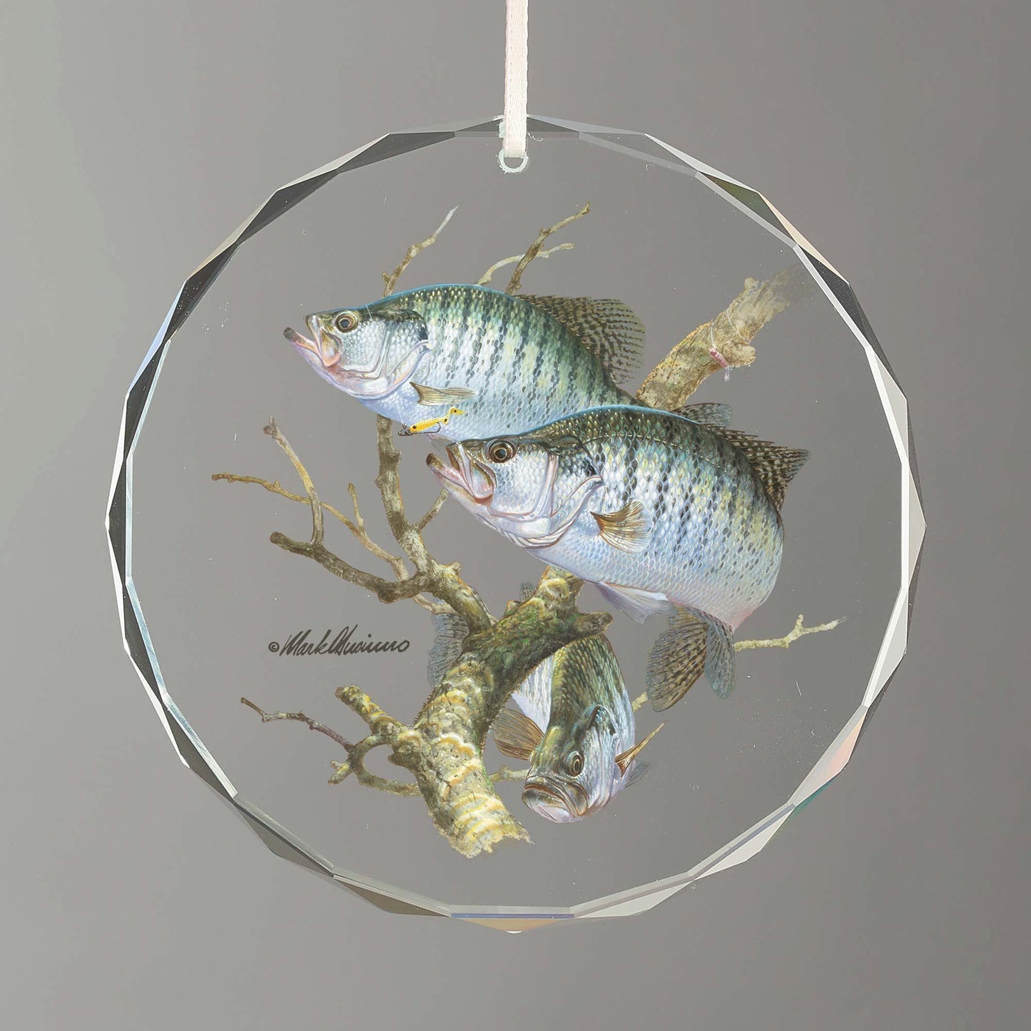 Crappies Round Glass Ornament - Wild Wings