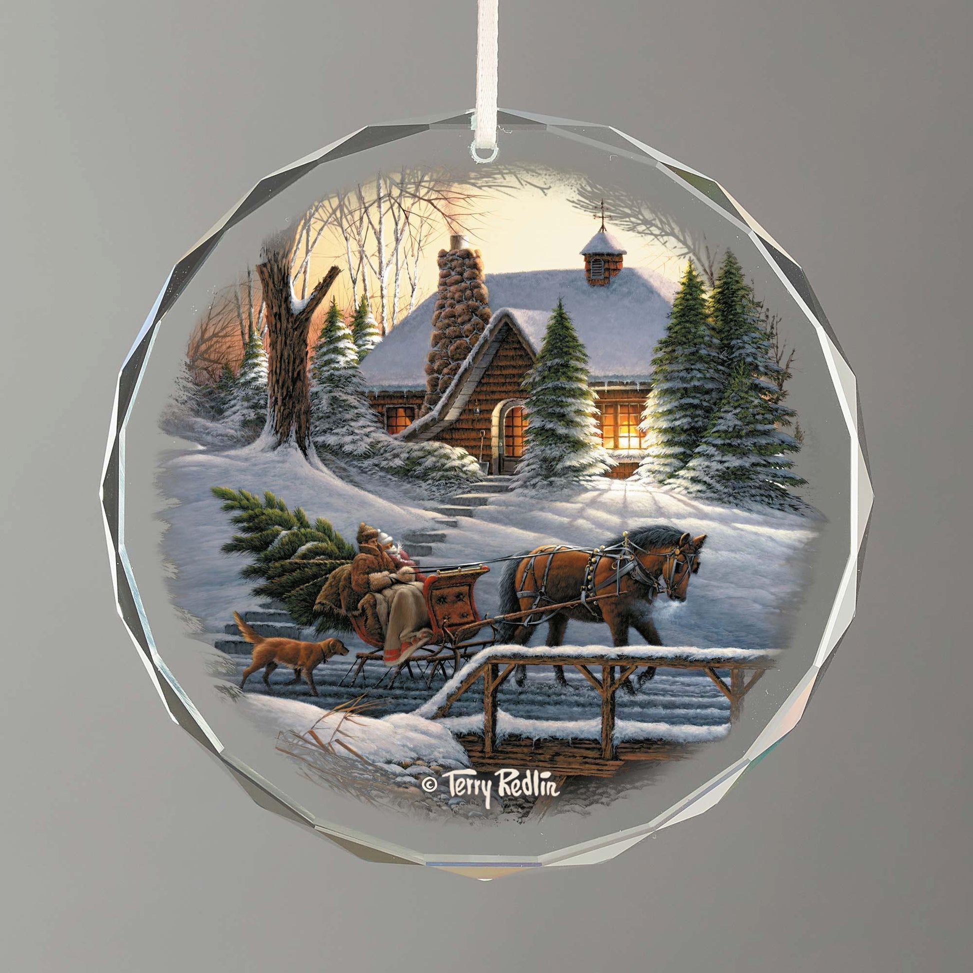 Heading Home Round Glass Ornament - Wild Wings
