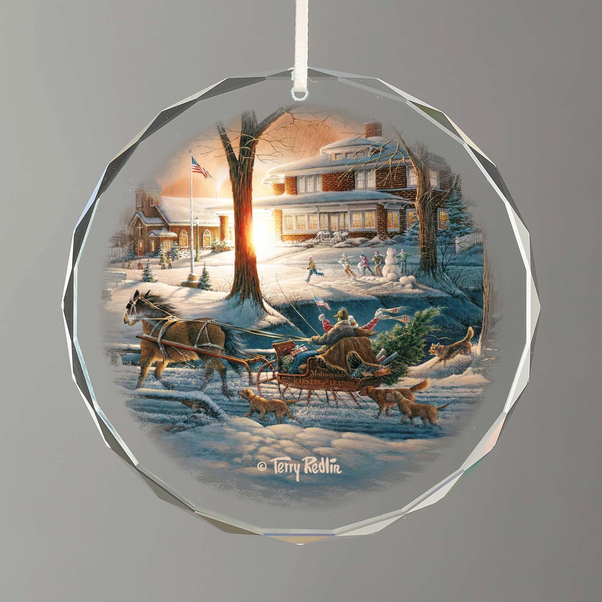 Racing Home Round Glass Ornament - Wild Wings