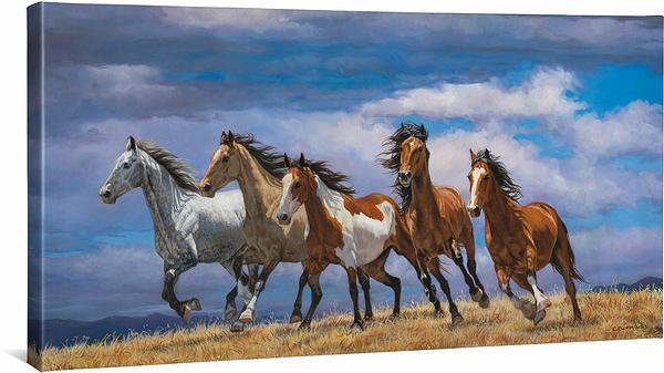 Over the Top Gallery Wrapped Canvas - Wild Wings