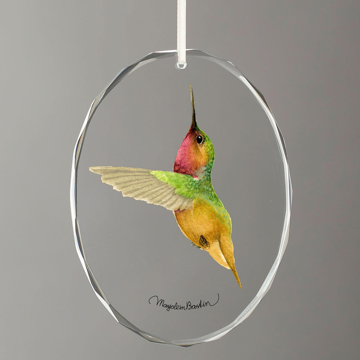 Bumble Bee Hummingbird Oval Glass Ornament - Wild Wings