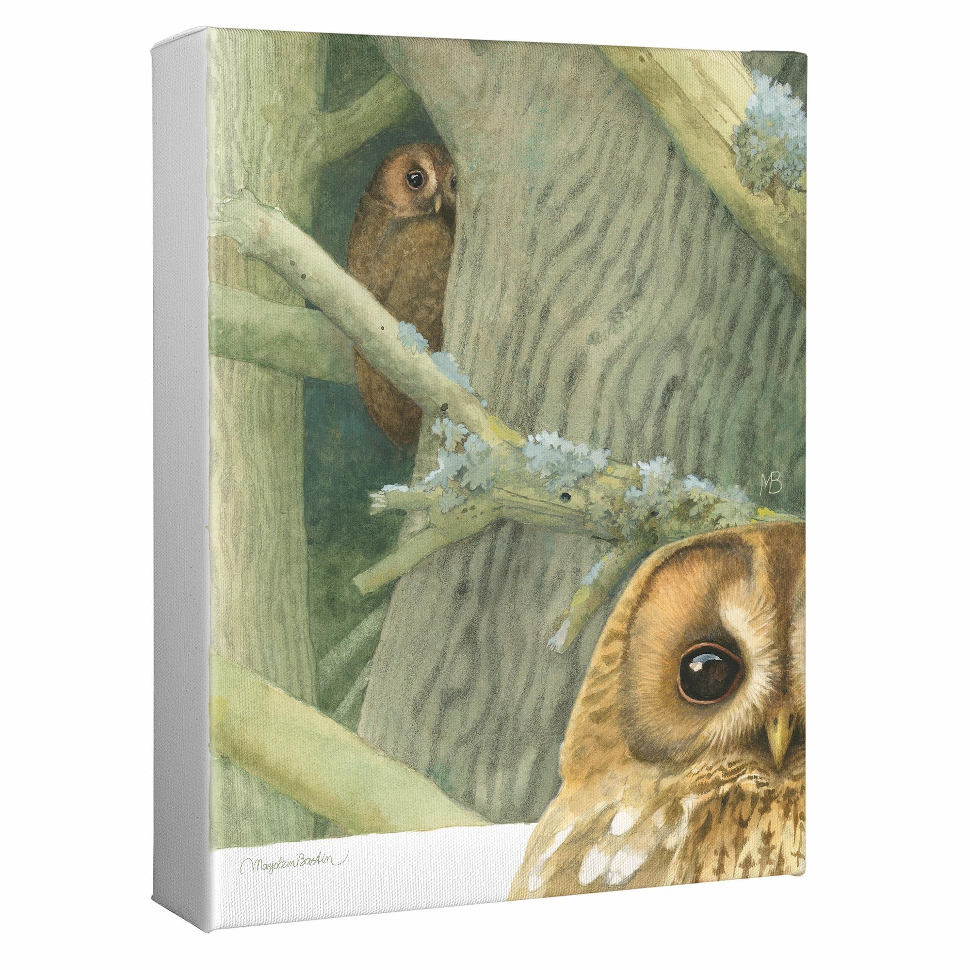 Owls Around the House Gallery Wrapped Canvas - Wild Wings