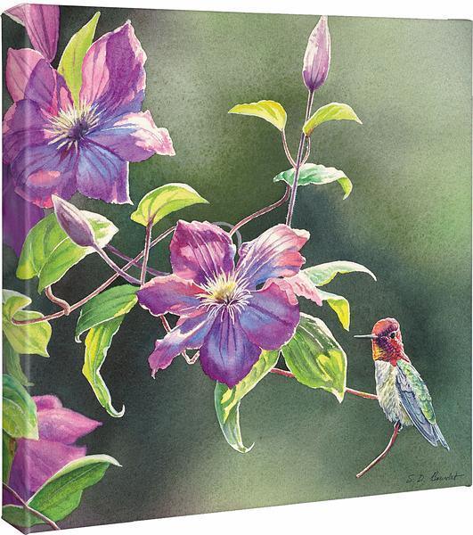 Passion for Pink—Anna's in Clematis Gallery Wrapped Canvas - Wild Wings