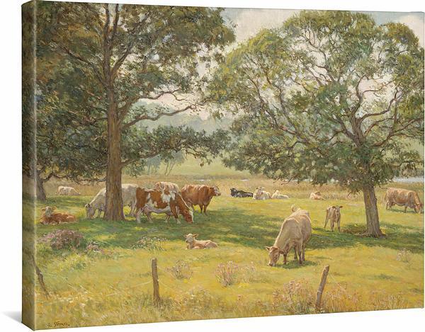 Pastoral—Cows Gallery Wrapped Canvas - Wild Wings