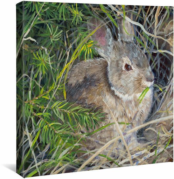 Peter Cottontail Gallery Wrapped Canvas - Wild Wings