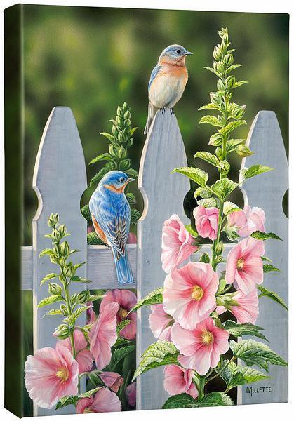 Picket Fence—Bluebirds Gallery Wrapped Canvas - Wild Wings