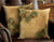 Pinecone 18" Decorative Pillows - Wild Wings